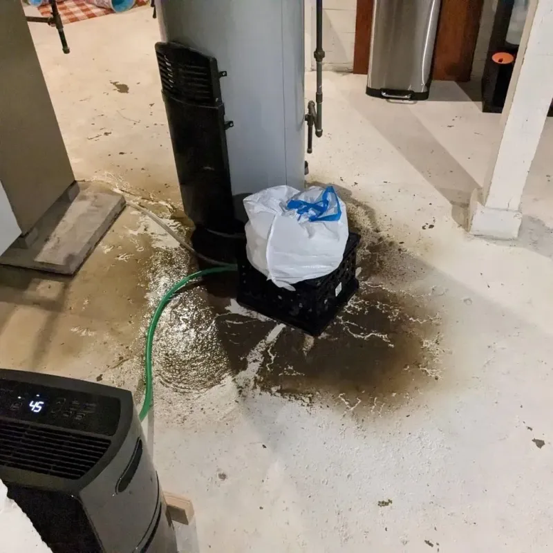 Sewage Backup Cleanup Service in Hubbardston, MA